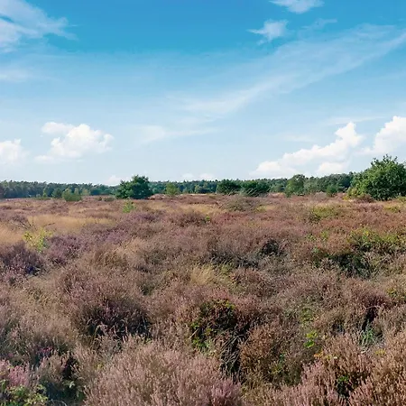 بيت للعطل Stunning In فورتهاوزن