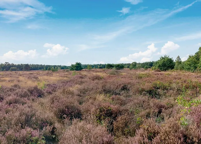 Semesterbostad Stunning In Voorthuizen